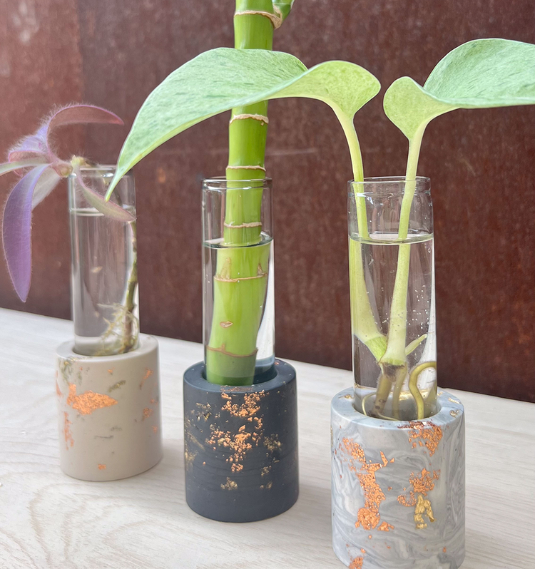 Plant Accessories