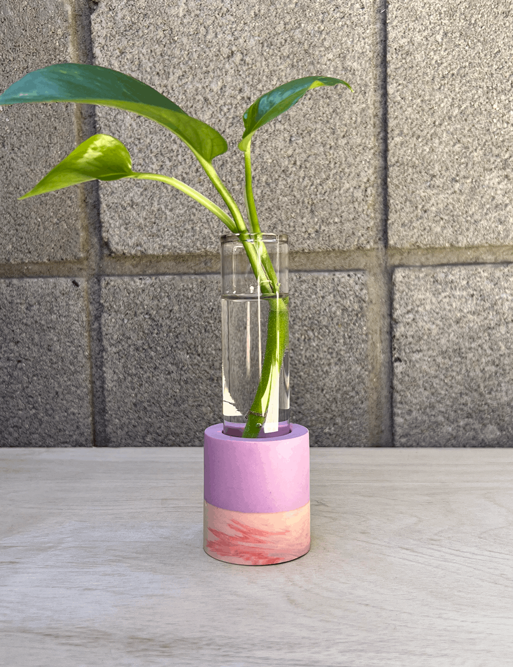 One of a Kind Two-tone Cotton Candy Swirl Cylinder Propagation Station