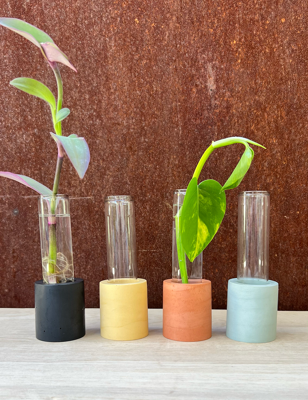 Cylinder Propagation Station