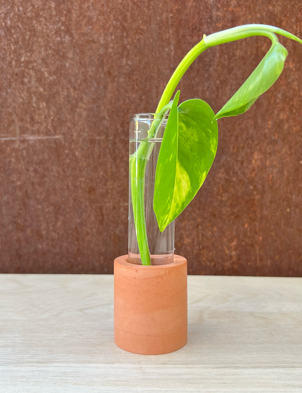 Cylinder Propagation Station