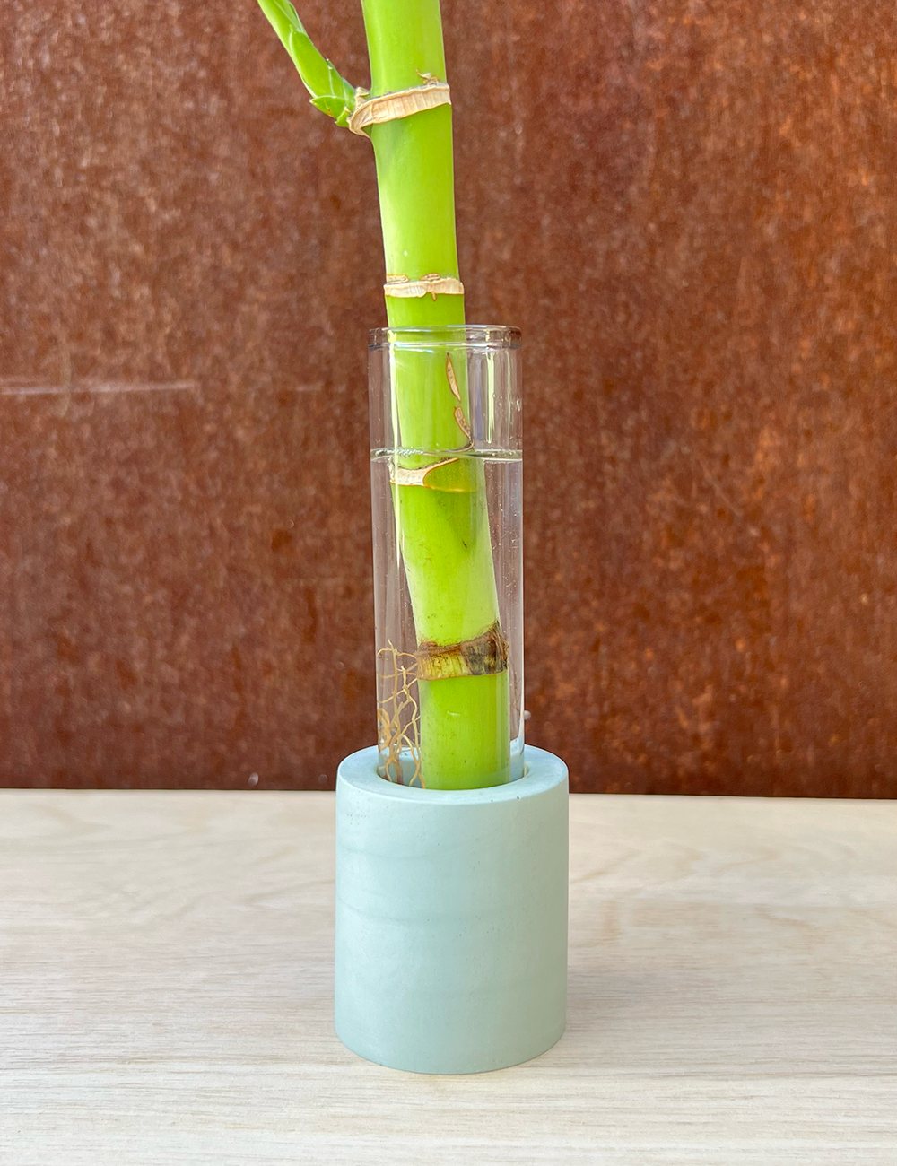 Cylinder Propagation Station