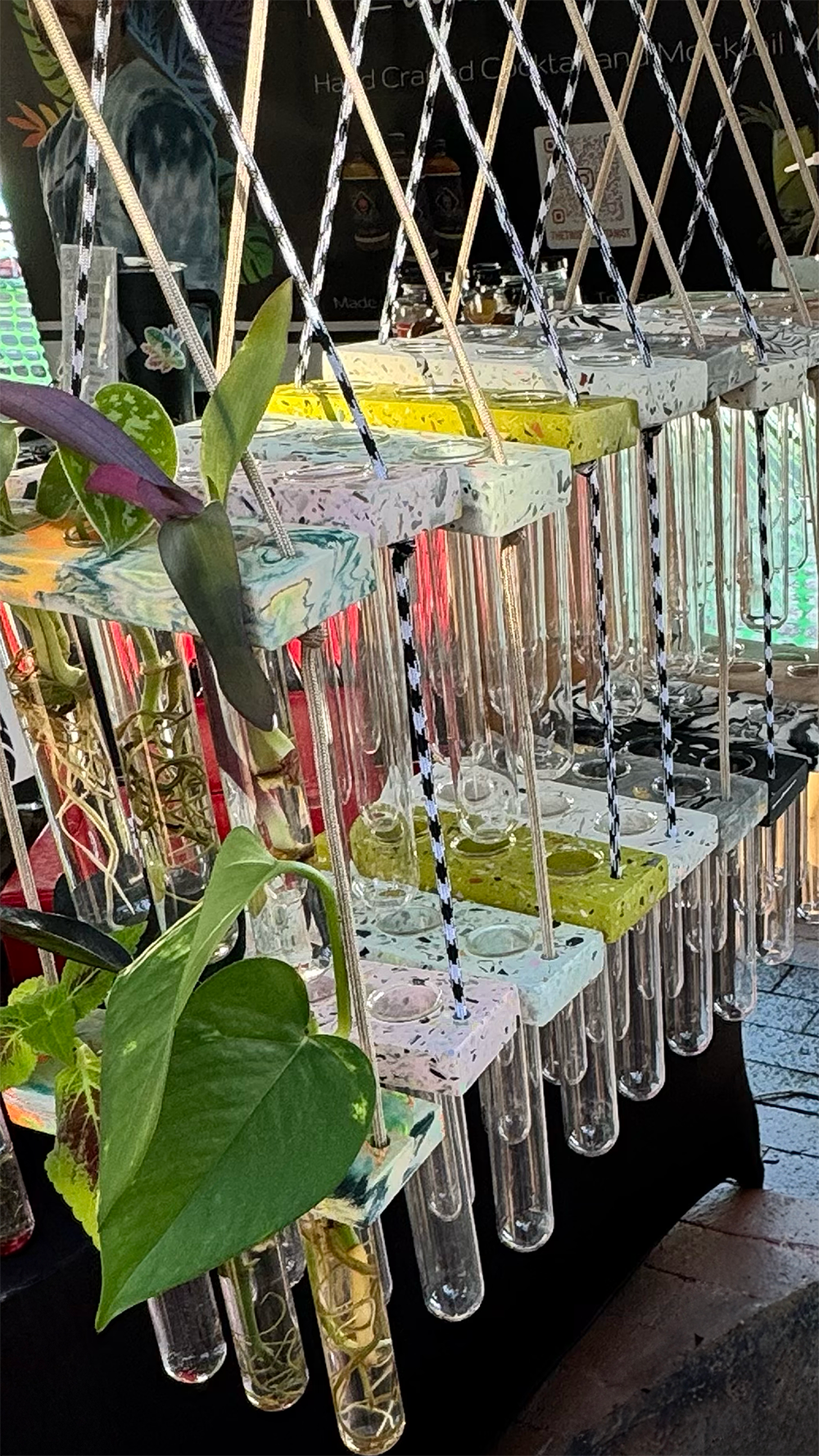 6 Tube Hanging Propagation Station