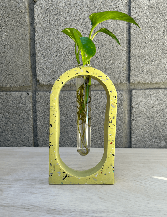 One of a Kind Lime Green Terrazzo Arch Propagation Station