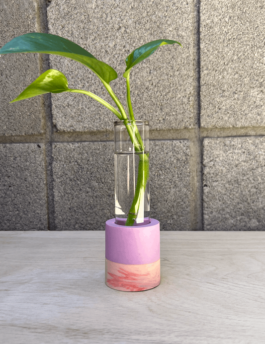 One of a Kind Two-tone Cotton Candy Swirl Cylinder Propagation Station