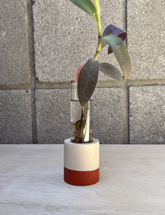 One of a Kind Two-tone Terracotta & Tan Cylinder Propagation Station