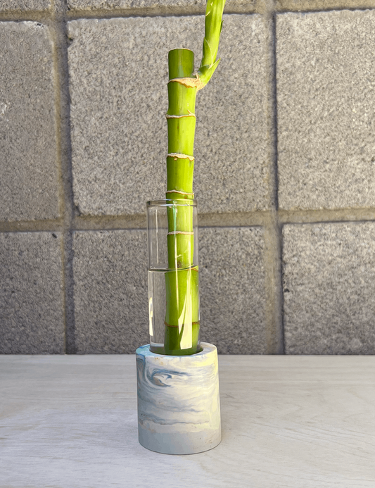 One of a Kind Seafoam Swirl Propagation Station