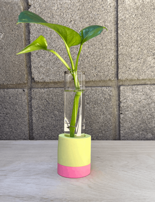 One of a Kind Two-tone Pink & Chartreuse Propagation Station