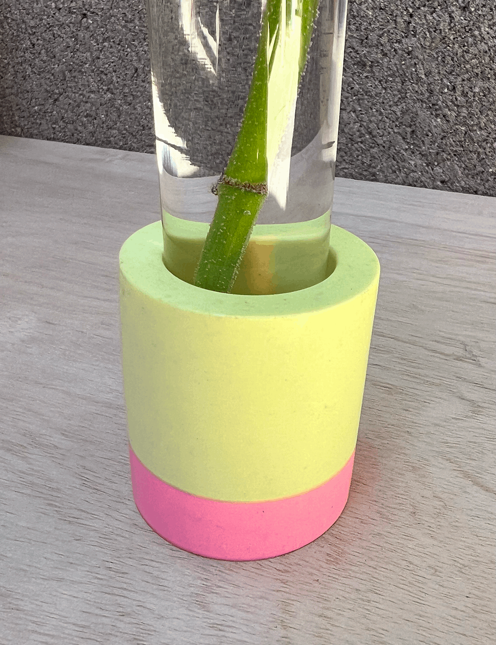 One of a Kind Two-tone Pink & Chartreuse Propagation Station