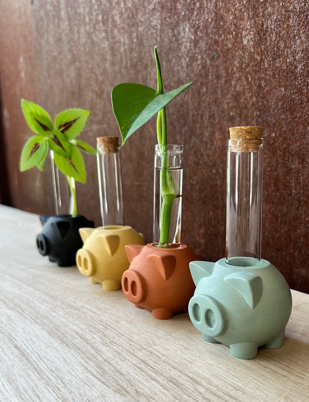 Piggy Propagation Station