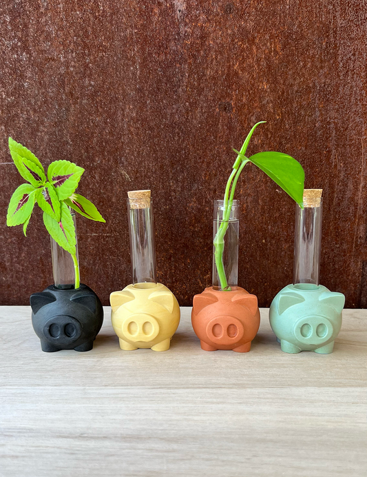 Piggy Propagation Station