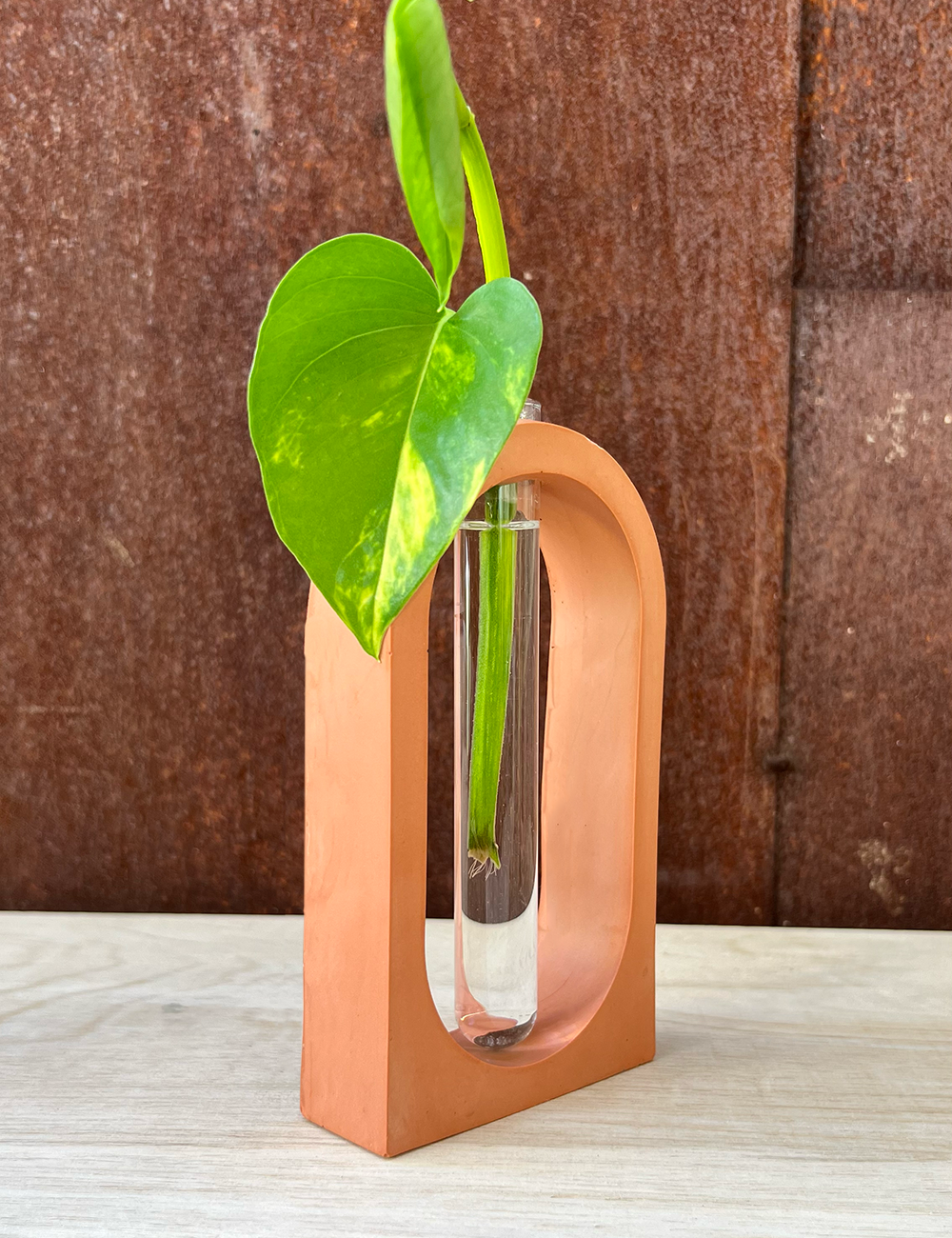 Arch Propagation Station