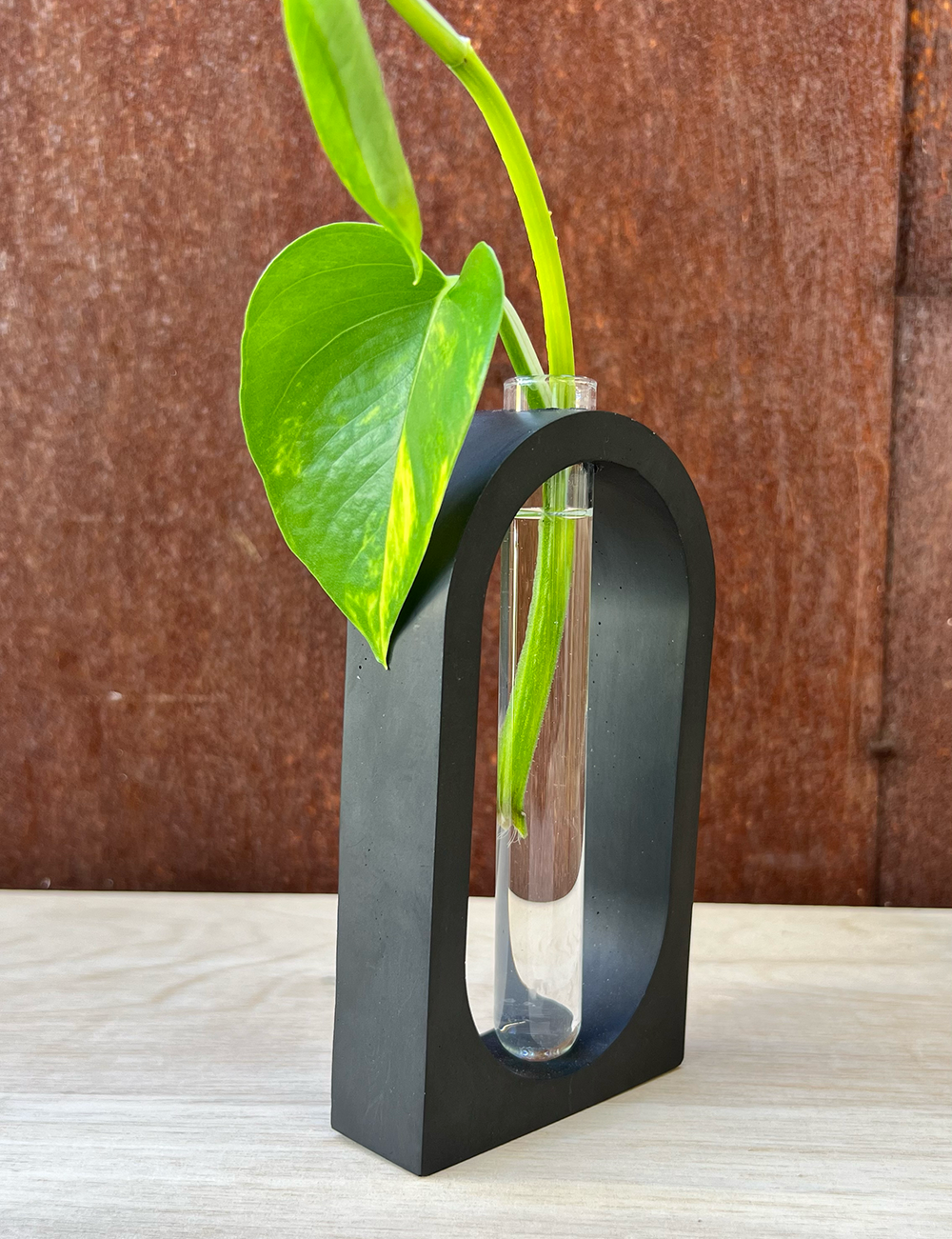 Arch Propagation Station