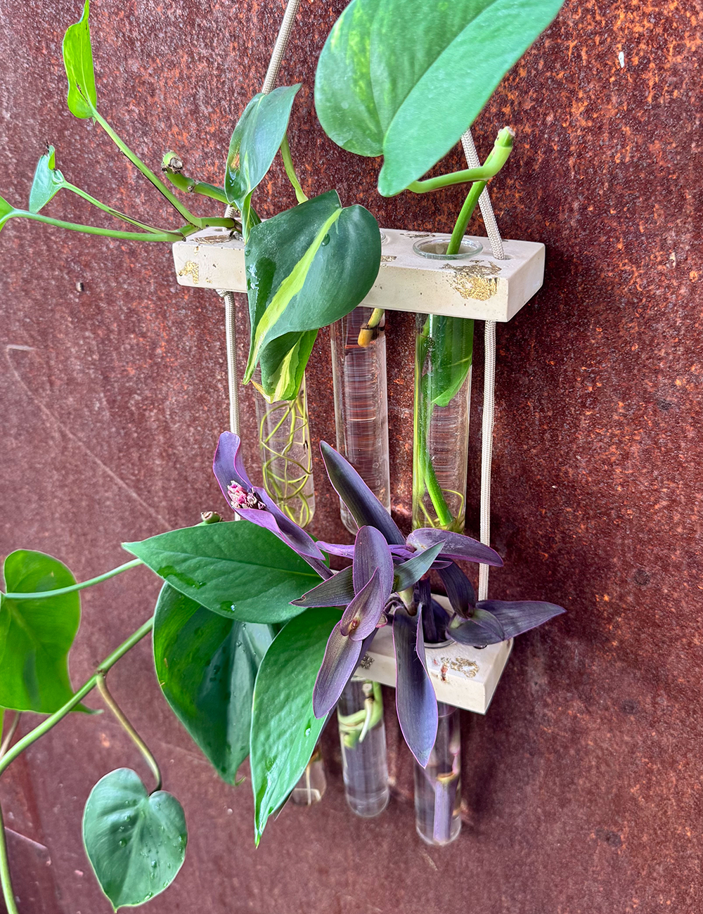 6 Tube Hanging Propagation Station
