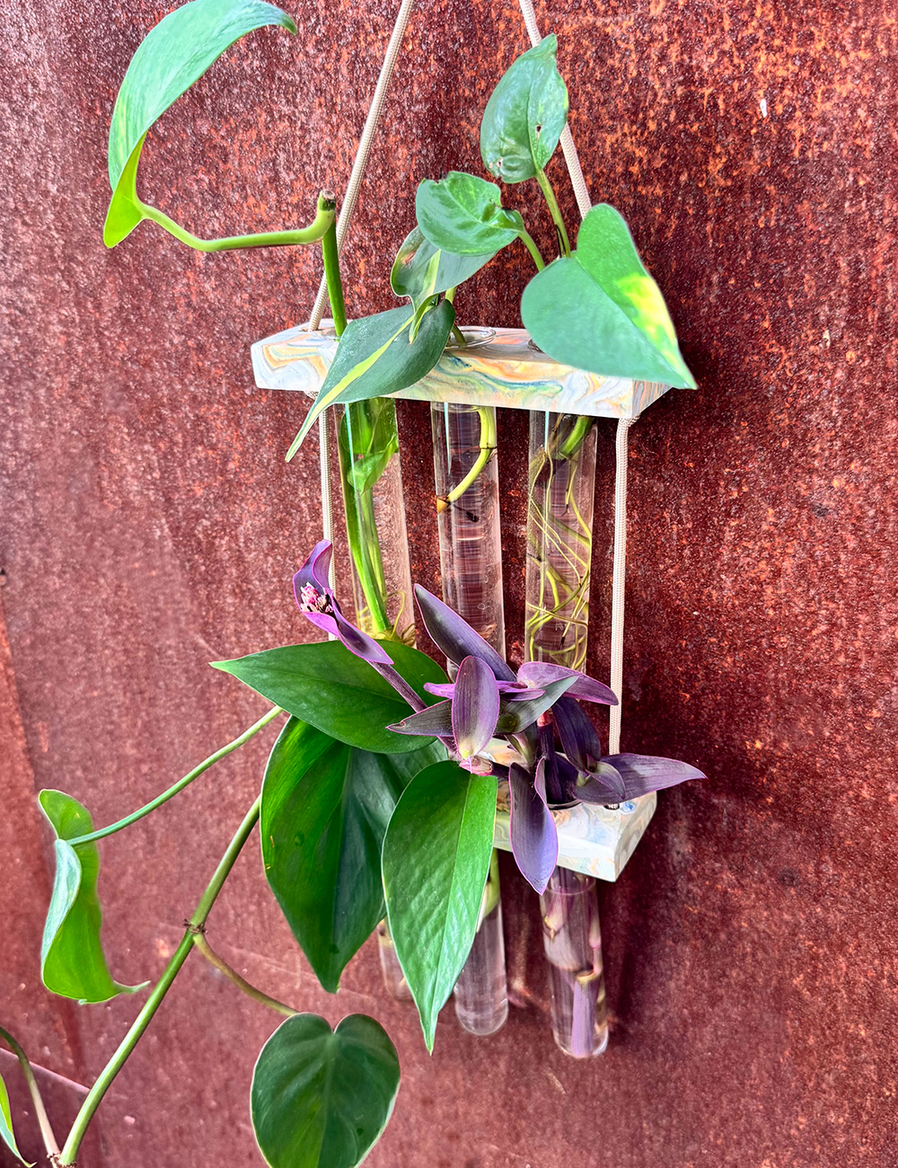 6 Tube Hanging Propagation Station